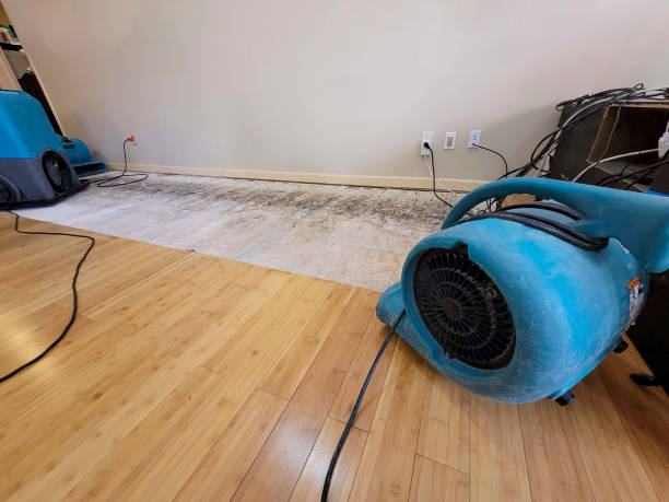 Professional Basement Flood Cleanup technician working in New Hope, OR
